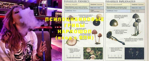 бошки Медвежьегорск