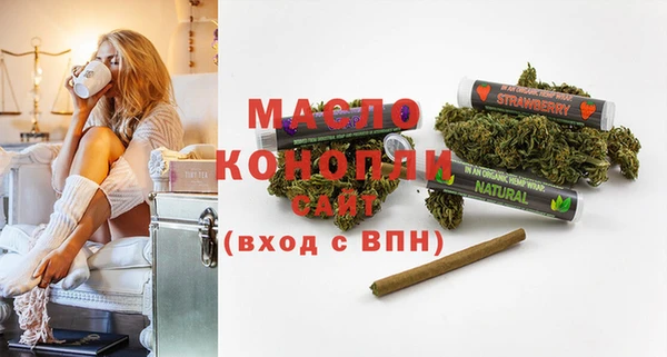 гашик Мегион