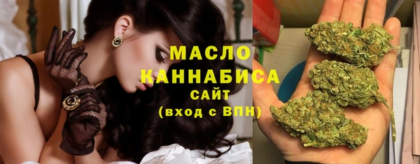 гашик Мегион