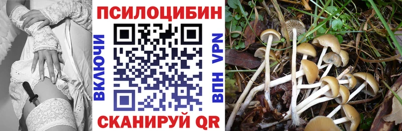 Галлюциногенные грибы MAGIC MUSHROOMS  сколько стоит  сайты даркнета клад  Муром 