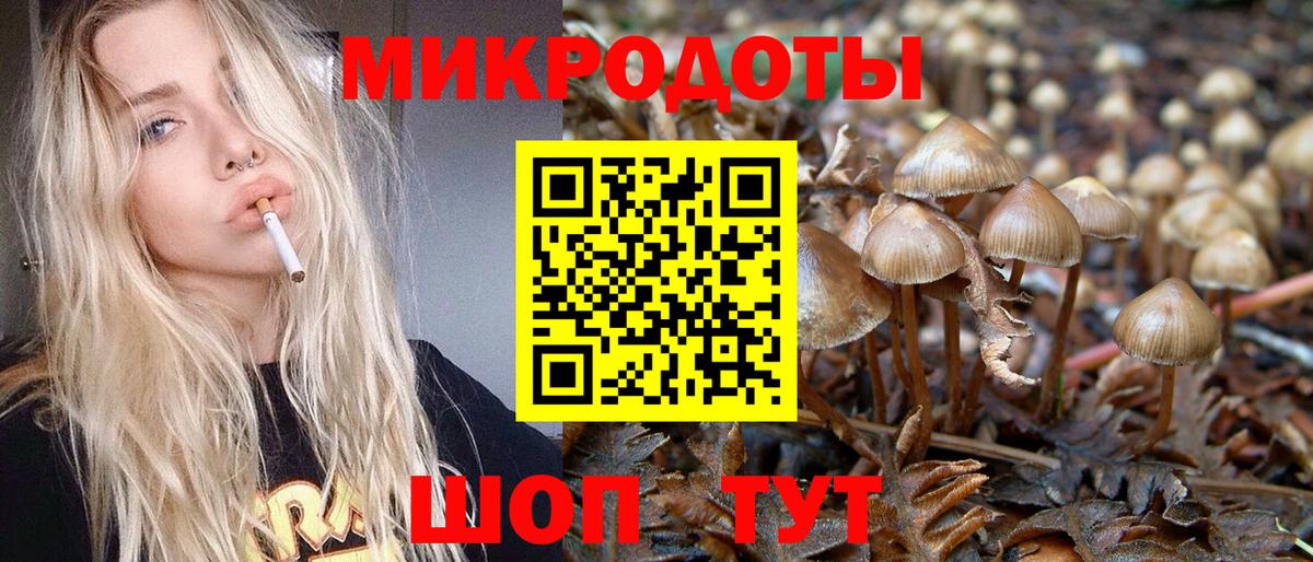 Галлюциногенные грибы мухоморы  Галлюциногенные грибы Cubensis  Муром  Вход с VPN 