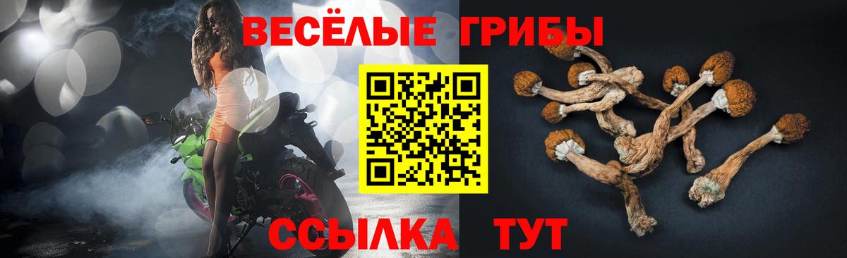 Псилоцибиновые грибы прущие грибы  Муром 